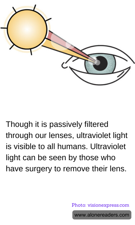 General Knowledge Learning Cards