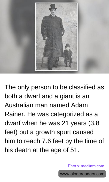 General Knowledge Learning Cards