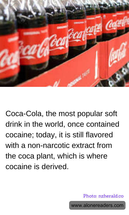 General Knowledge Learning Cards