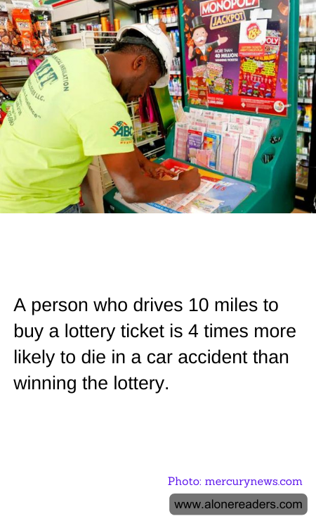 General Knowledge Learning Cards