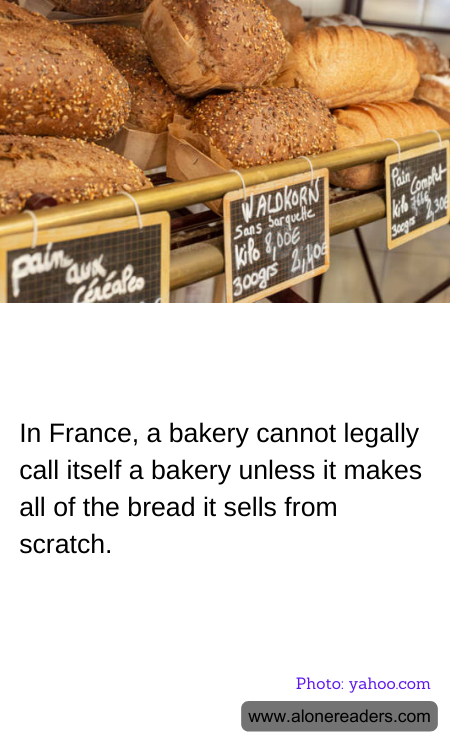 General Knowledge Learning Cards