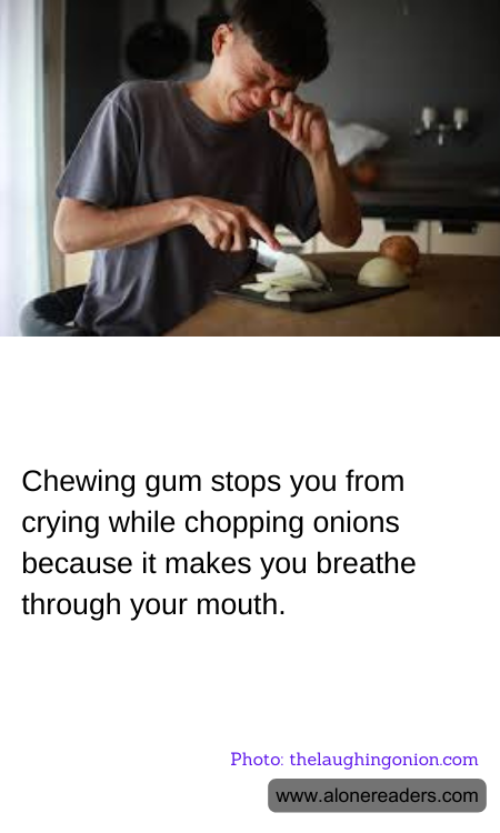 General Knowledge Learning Cards