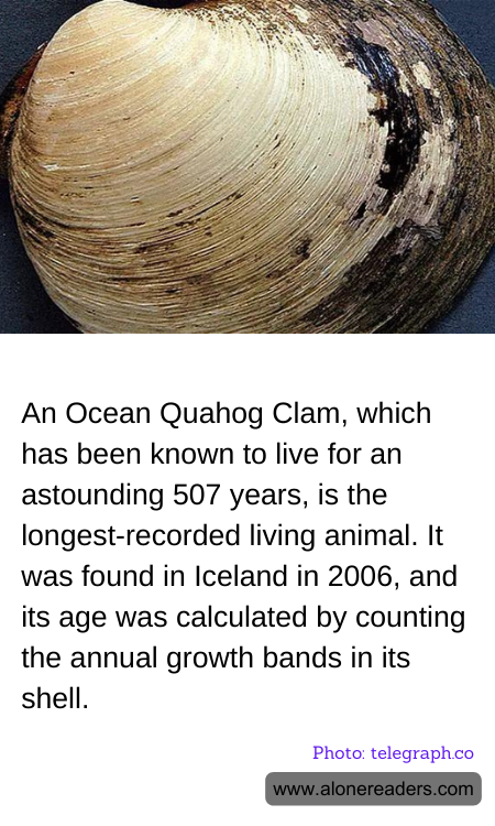 General Knowledge Learning Cards