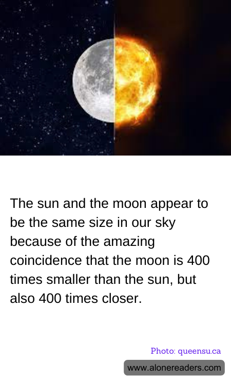 General Knowledge Learning Cards