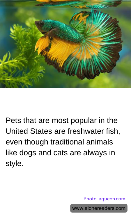 General Knowledge Learning Cards