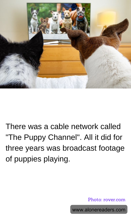 General Knowledge Learning Cards