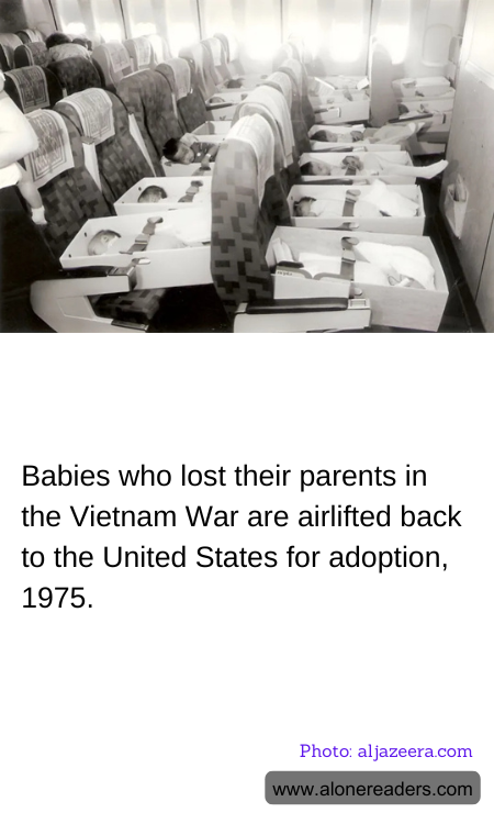 General Knowledge Learning Cards