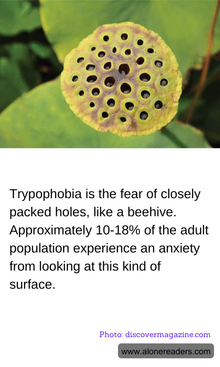 General Knowledge Learning Cards