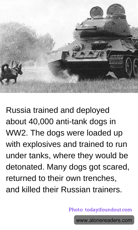 General Knowledge Learning Cards