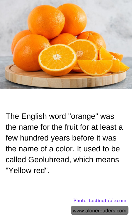 General Knowledge Learning Cards