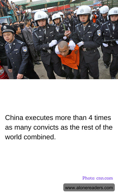 General Knowledge Learning Cards