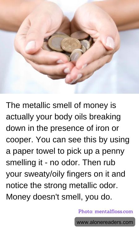 The metallic smell of money is actually your body oils breaking down in the presence of iron or cooper. You can see this by using a paper towel to pick up a penny smelling it - no odor. Then rub your sweaty/oily fingers on it and notice the strong metallic odor. Money doesn't smell, you do.