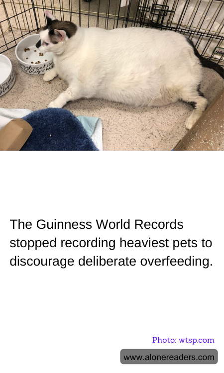 The Guinness World Records stopped recording heaviest pets to discourage deliberate overfeeding.