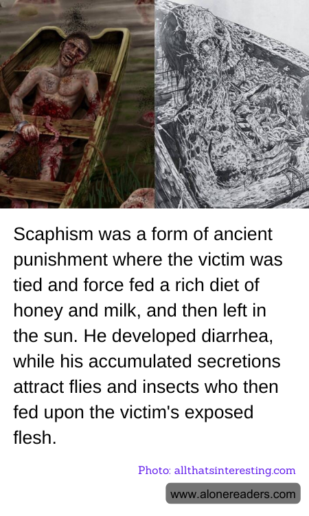 Scaphism was a form of ancient punishment where the victim was tied and force fed a rich diet of honey and milk, and then left in the sun. He developed diarrhea, while his accumulated secretions attract flies and insects who then fed upon the victim's exposed flesh.