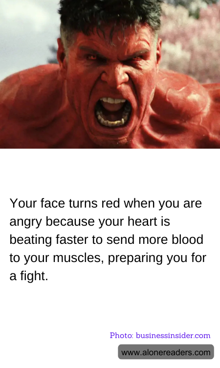 Your face turns red when you are angry because your heart is beating faster to send more blood to your muscles, preparing you for a fight.