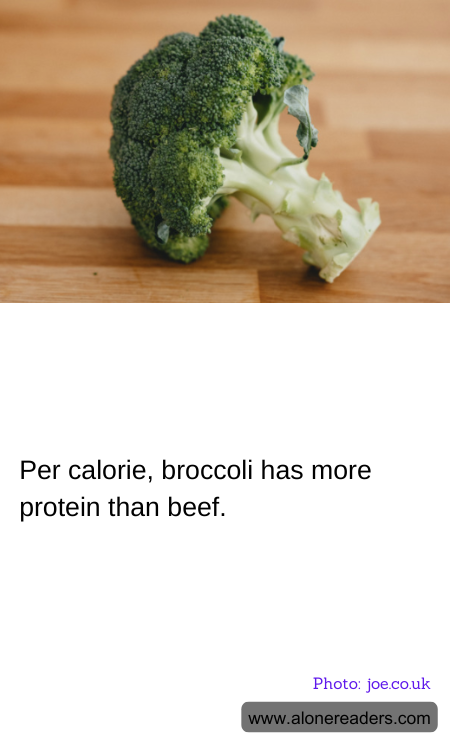 Per calorie, broccoli has more protein than beef.