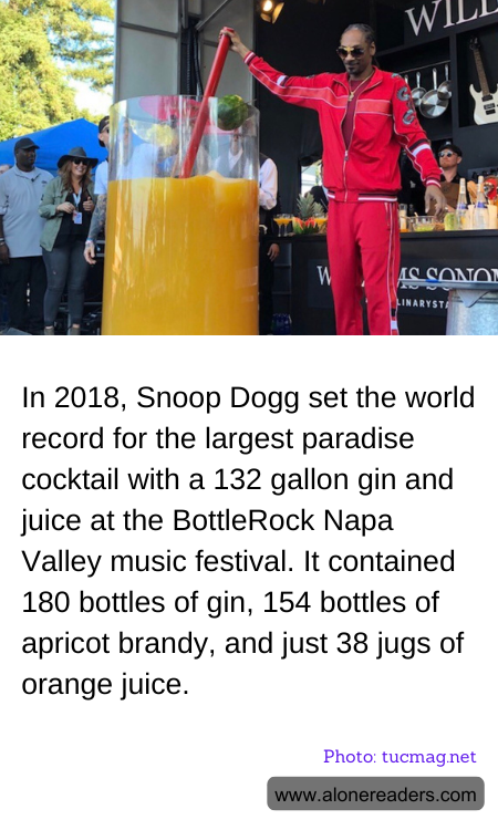 In 2018, Snoop Dogg set the world record for the largest paradise cocktail with a 132 gallon gin and juice at the BottleRock Napa Valley music festival. It contained 180 bottles of gin, 154 bottles of apricot brandy, and just 38 jugs of orange juice.