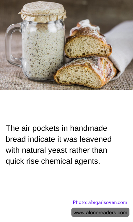 The air pockets in handmade bread indicate it was leavened with natural yeast rather than quick rise chemical agents.