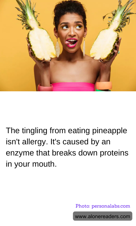 The tingling from eating pineapple isn't allergy. It's caused by an enzyme that breaks down proteins in your mouth.