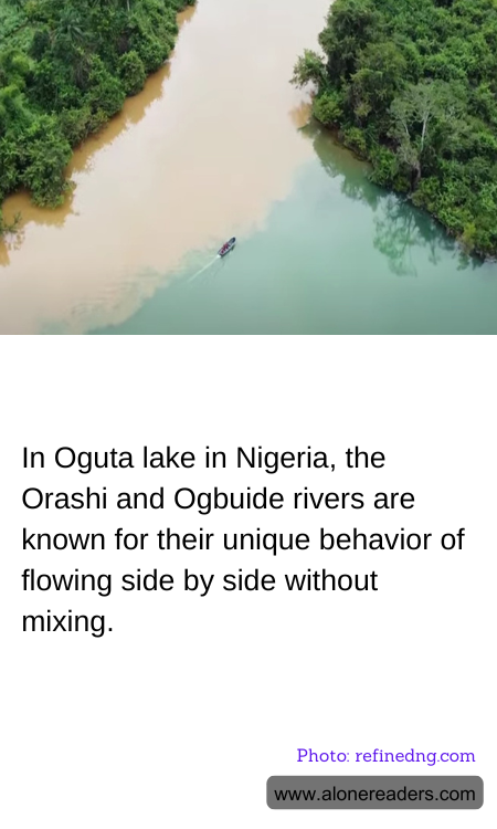 In Oguta lake in Nigeria, the Orashi and Ogbuide rivers are known for their unique behavior of flowing side by side without mixing.