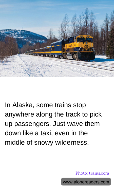 In Alaska, some trains stop anywhere along the track to pick up passengers. Just wave them down like a taxi, even in the middle of snowy wilderness.