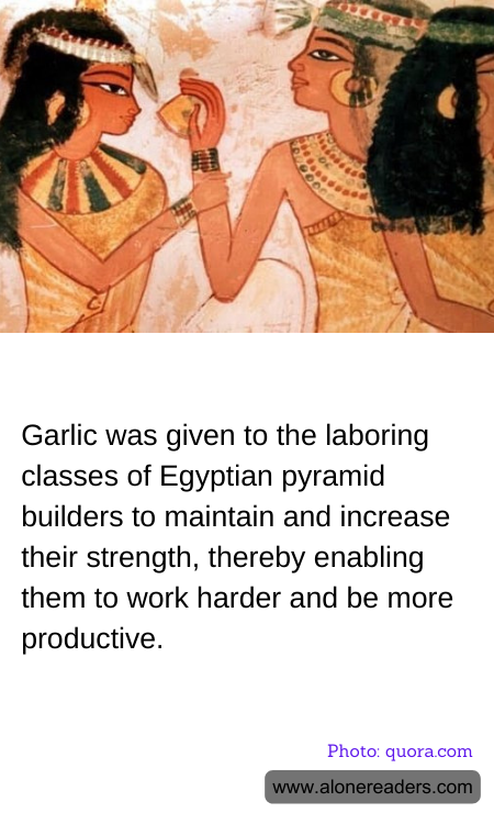 Garlic was given to the laboring classes of Egyptian pyramid builders to maintain and increase their strength, thereby enabling them to work harder and be more productive.