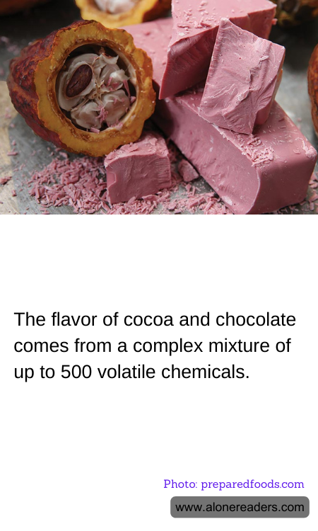 The flavor of cocoa and chocolate comes from a complex mixture of up to 500 volatile chemicals.