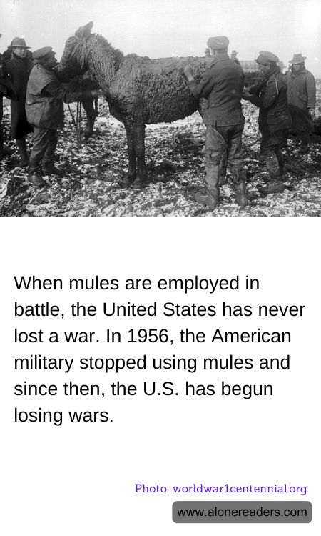 When mules are employed in battle, the United States has never lost a war. In 1956, the American military stopped using mules and since then, the U.S. has begun losing wars.