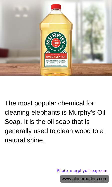 The most popular chemical for cleaning elephants is Murphy's Oil Soap. It is the oil soap that is generally used to clean wood to a natural shine.