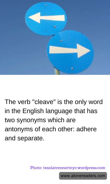 The verb "cleave" is the only word in the English language that has two synonyms which are antonyms of each other: adhere and separate.