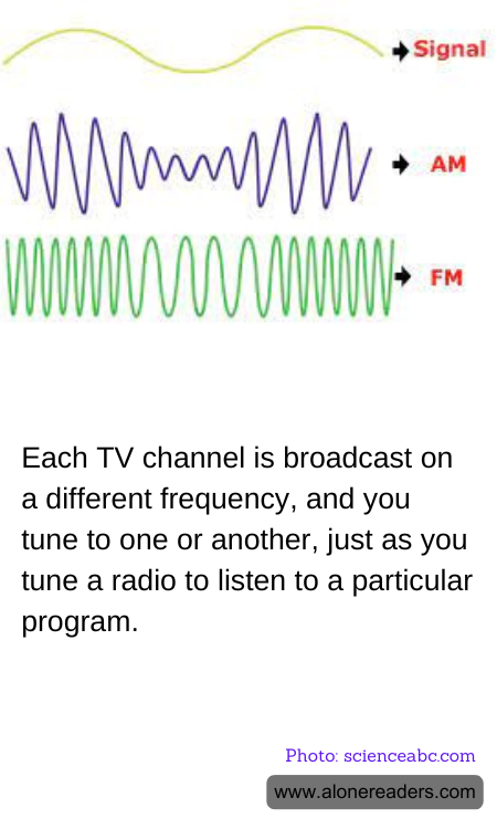 Each TV channel is broadcast on a different frequency, and you tune to one or another, just as you tune a radio to listen to a particular program.
