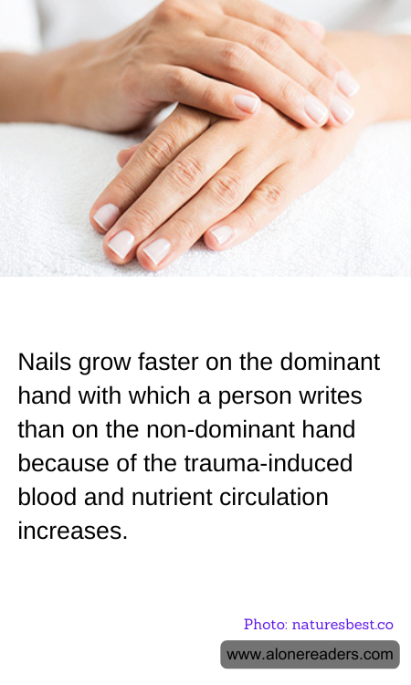 Nails grow faster on the dominant hand with which a person writes than on the non-dominant hand because of the trauma-induced blood and nutrient circulation increases.