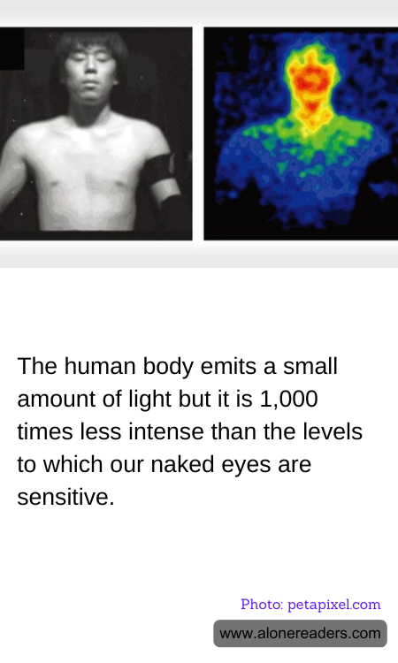 The human body emits a small amount of light but it is 1,000 times less intense than the levels to which our naked eyes are sensitive.