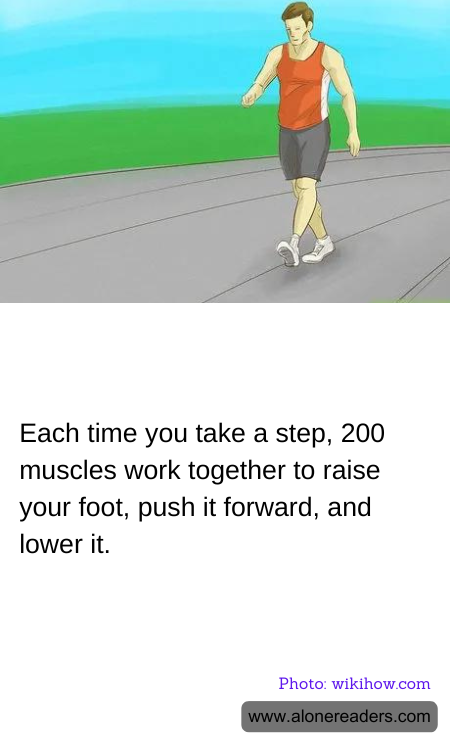 Each time you take a step, 200 muscles work together to raise your foot, push it forward, and lower it.