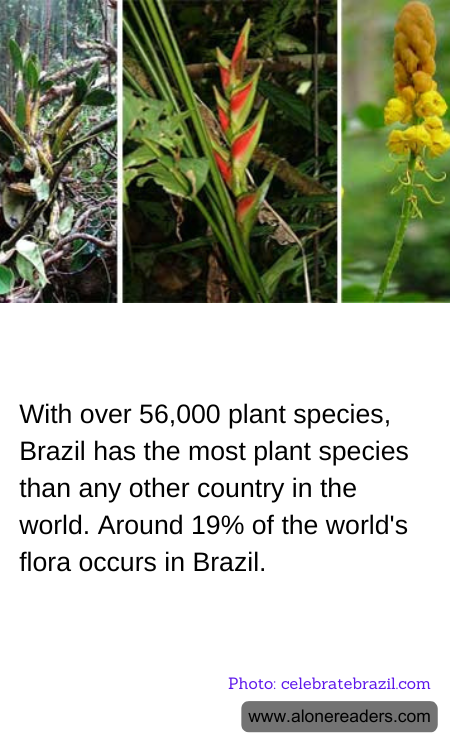 With over 56,000 plant species, Brazil has the most plant species than any other country in the world. Around 19% of the world's flora occurs in Brazil.