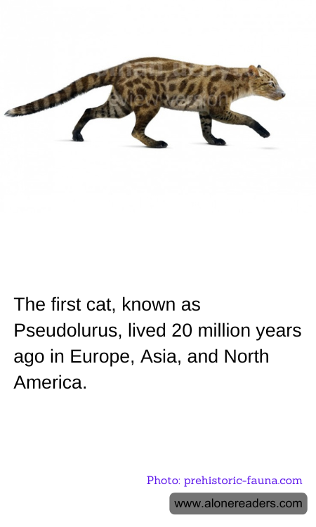 The first cat, known as Pseudolurus, lived 20 million years ago in Europe, Asia, and North America.