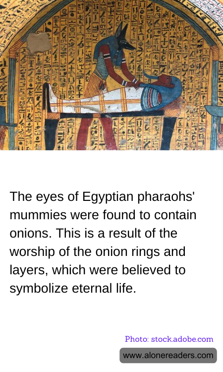 The eyes of Egyptian pharaohs' mummies were found to contain onions. This is a result of the worship of the onion rings and layers, which were believed to symbolize eternal life.