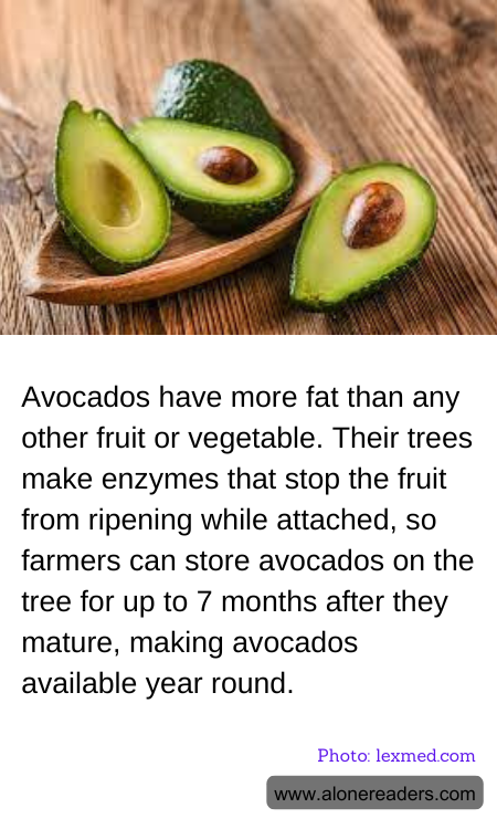 Avocados have more fat than any other fruit or vegetable. Their trees make enzymes that stop the fruit from ripening while attached, so farmers can store avocados on the tree for up to 7 months after they mature, making avocados available year round.