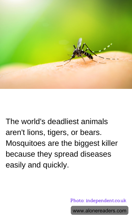 The world's deadliest animals aren't lions, tigers, or bears. Mosquitoes are the biggest killer because they spread diseases easily and quickly.