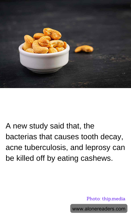 A new study said that, the bacterias that causes tooth decay, acne tuberculosis, and leprosy can be killed off by eating cashews.