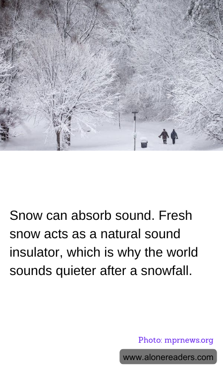 Snow can absorb sound. Fresh snow acts as a natural sound insulator, which is why the world sounds quieter after a snowfall.