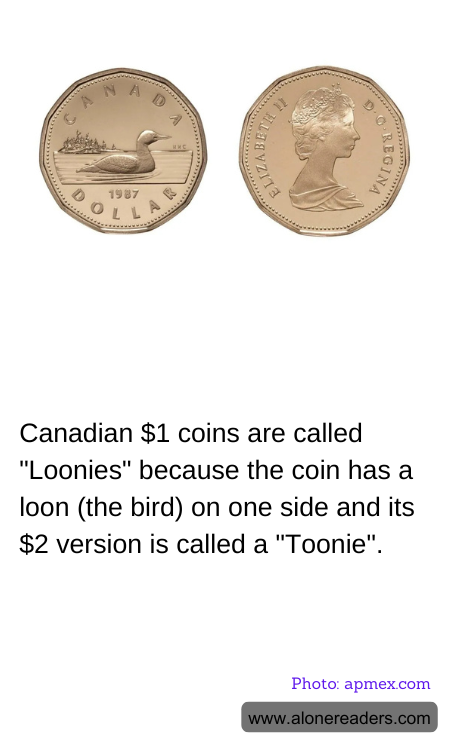 Canadian $1 coins are called "Loonies" because the coin has a loon (the bird) on one side and its $2 version is called a "Toonie".