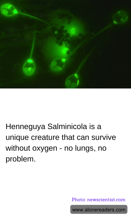 Henneguya Salminicola is a unique creature that can survive without oxygen - no lungs, no problem.