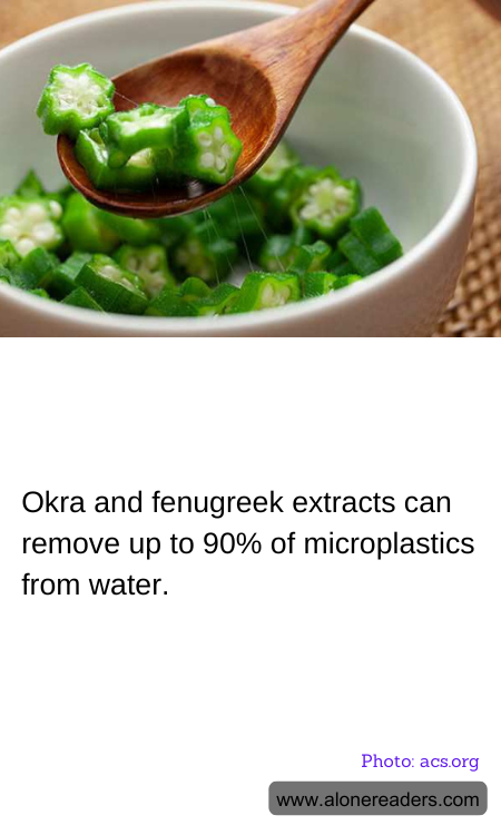 Okra and fenugreek extracts can remove up to 90% of microplastics from water.