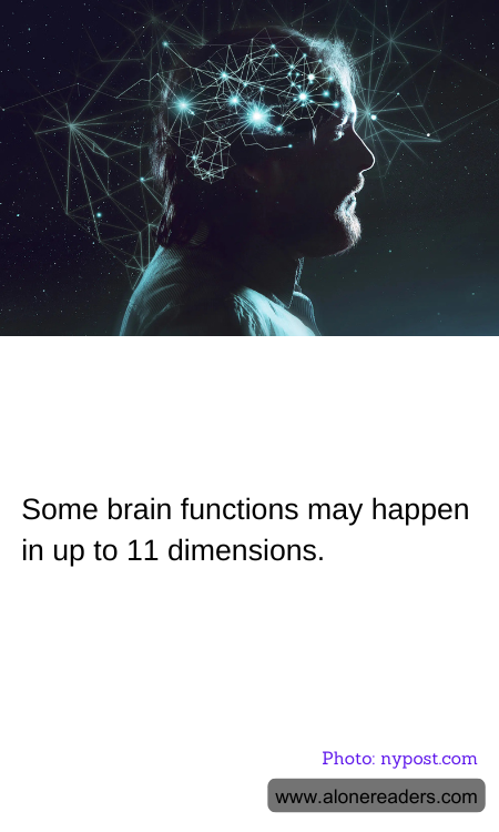 Some brain functions may happen in up to 11 dimensions.