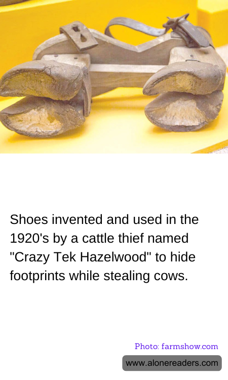 Shoes invented and used in the 1920's by a cattle thief named "Crazy Tek Hazelwood" to hide footprints while stealing cows.