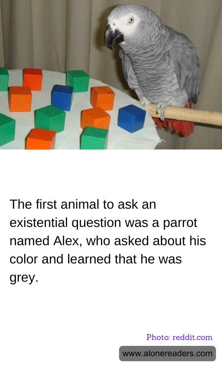 The first animal to ask an existential question was a parrot named Alex, who asked about his color and learned that he was grey.