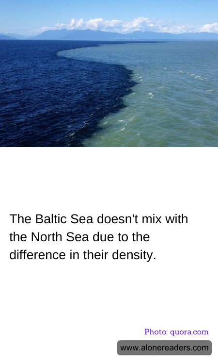 The Baltic Sea doesn't mix with the North Sea due to the difference in their density.