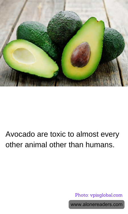 Avocado are toxic to almost every other animal other than humans.