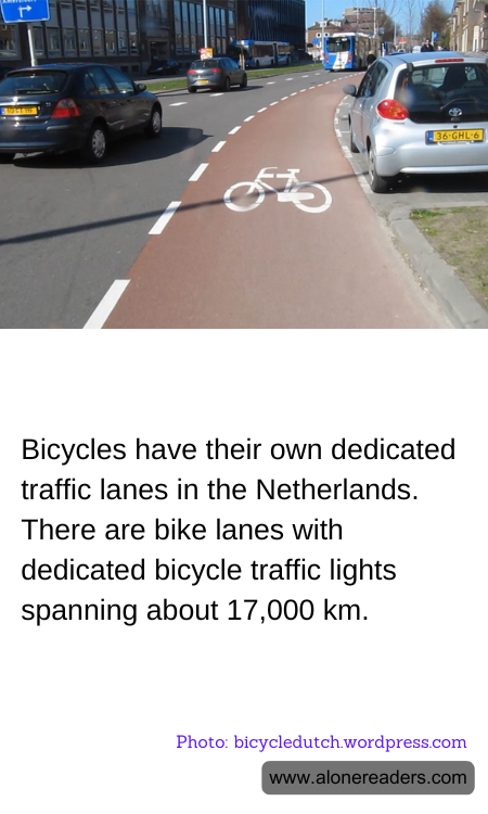Bicycles have their own dedicated traffic lanes in the Netherlands. There are bike lanes with dedicated bicycle traffic lights spanning about 17,000 km.